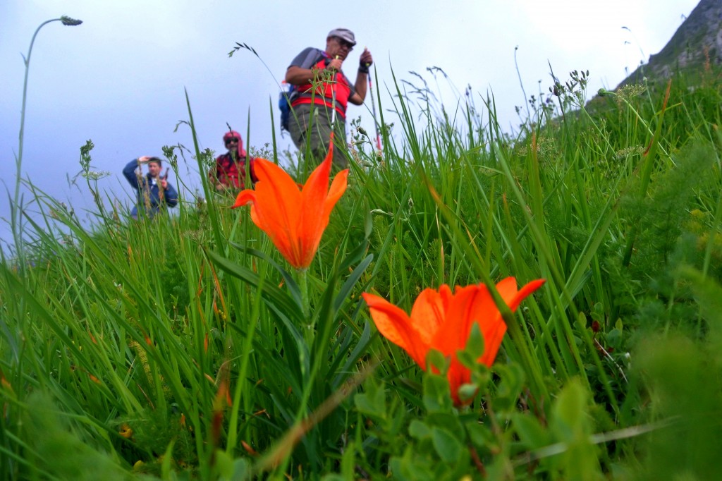 Cooperativa Walden viaggi a piedi