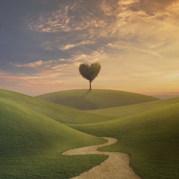 Rossana Andreotti – Professional Counselor e Coach