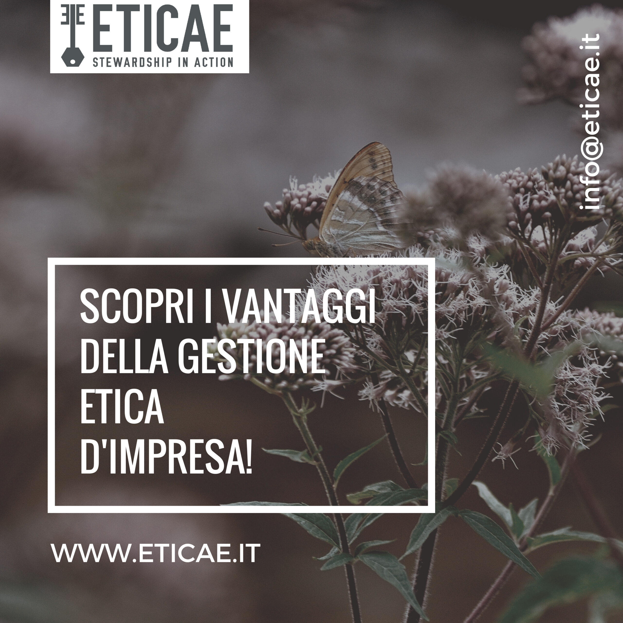 Eticae – Stewardship in Action