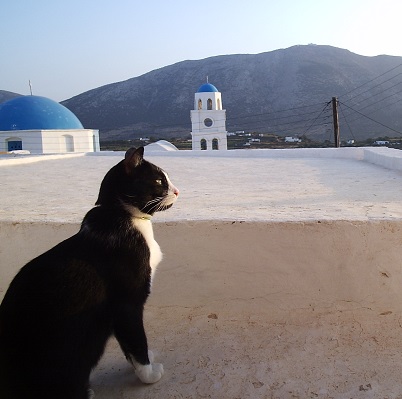 Slow Sifnos