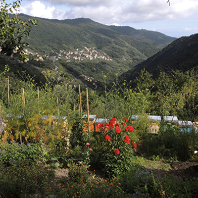 Api e ambiente Valle di Sori