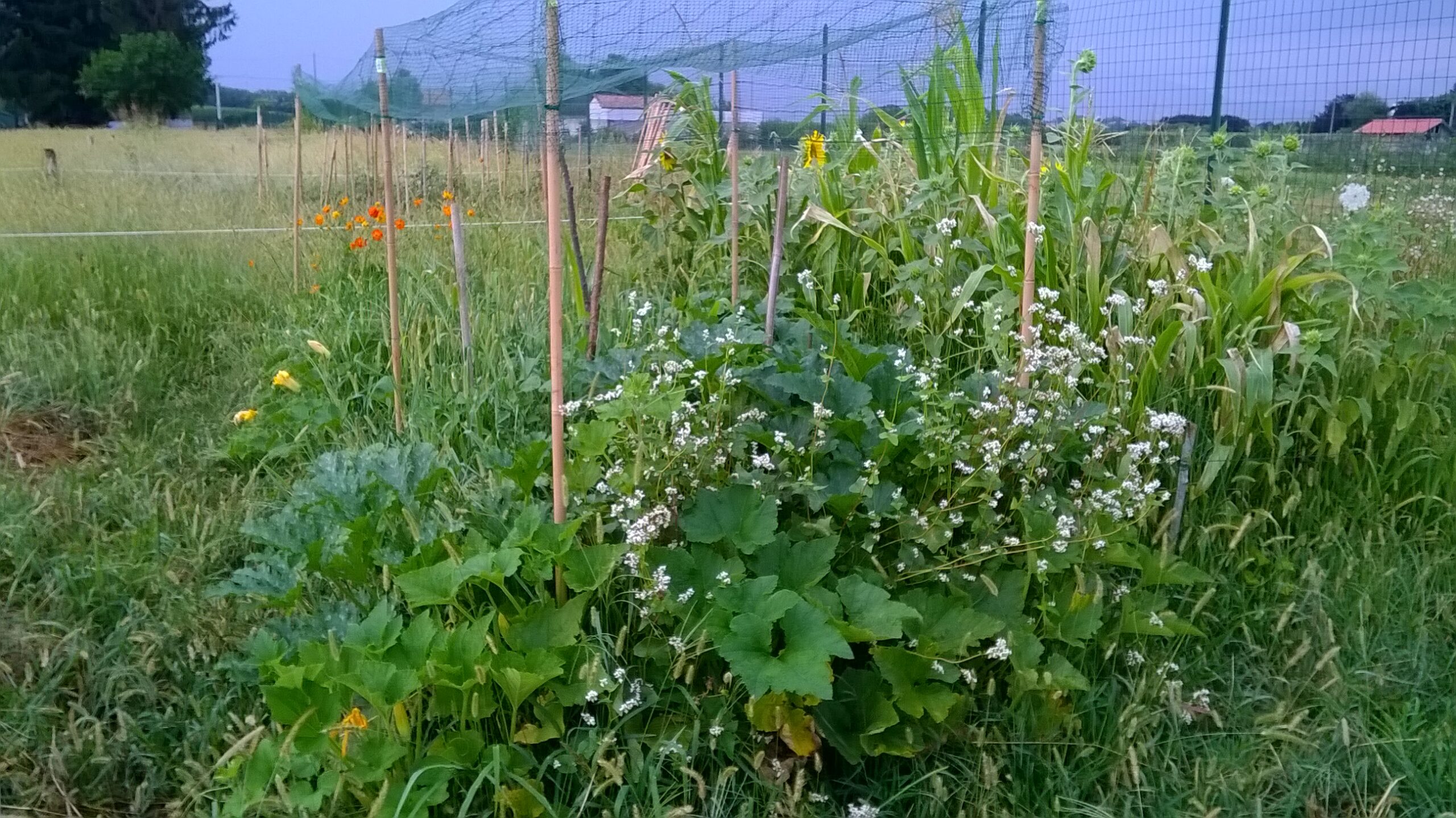 Terra antica vita nova