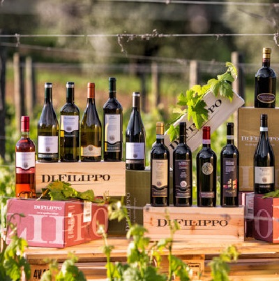 Di Filippo vini biologici