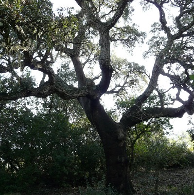 Ecoturismo Espadan (ES)