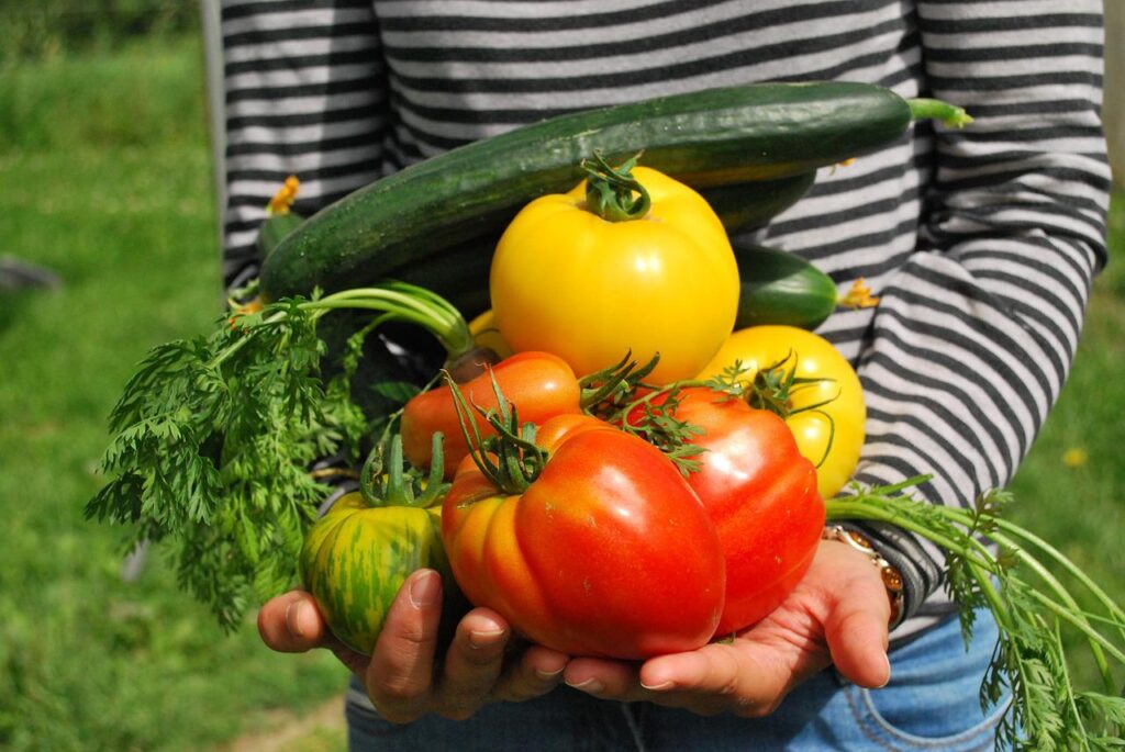 agricoltura biologica, fertilizzazione naturale - Foto di jf-gabnor da Pixabay 3