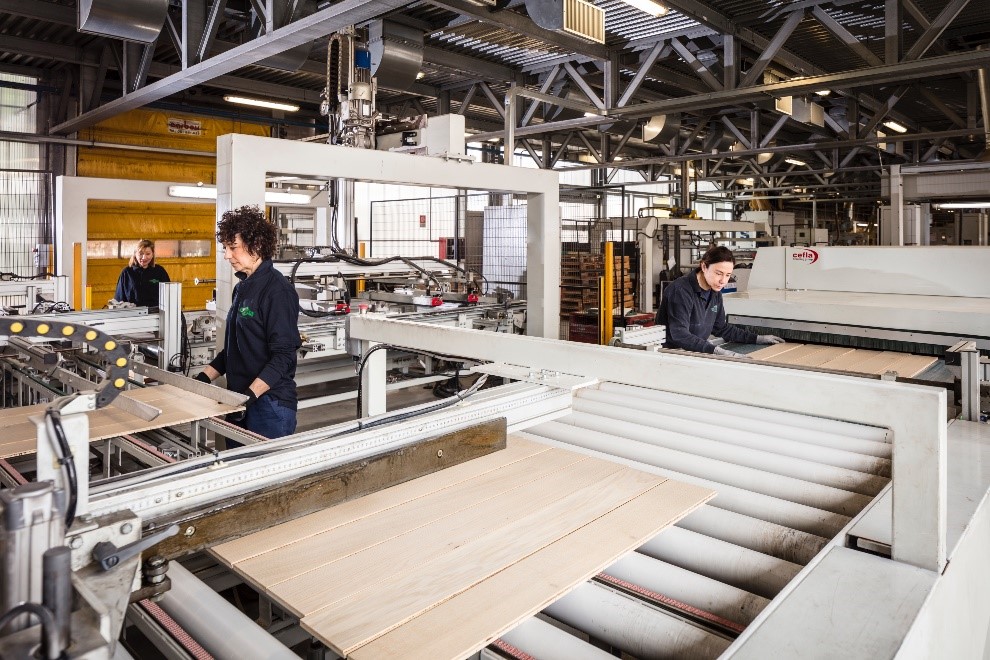 parquet in legno di Gazzotti18, cooperativa da workers buyout di Castel Maggiore, Bologna - linea verniciatura