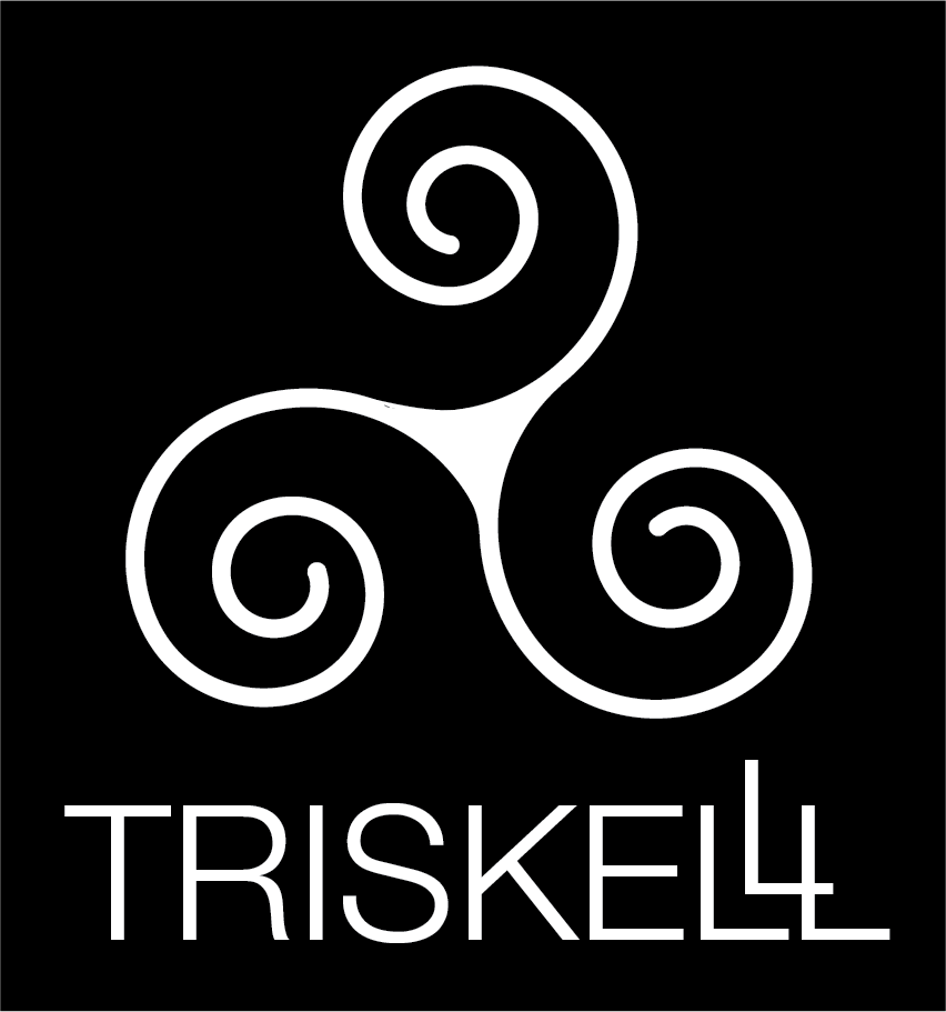 Triskelll: Comunicazione AGILE