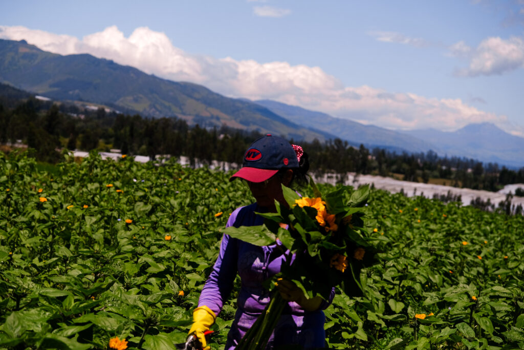 Ecuador, reportage fotografico 'Buenvivir' di Emanuele Rippa e Adela Zotaj, microfinanza etica in viaggio con Cresud, 2022