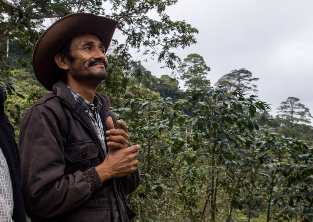 caffè del commercio equo e solidale da Shadhilly