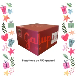 galup Panettone