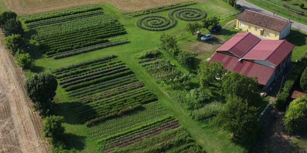 Questa immagine ha l'attributo alt vuoto; il nome del file è Vista-aerea-rettangolare-2000x1000-1-1024x512.webp