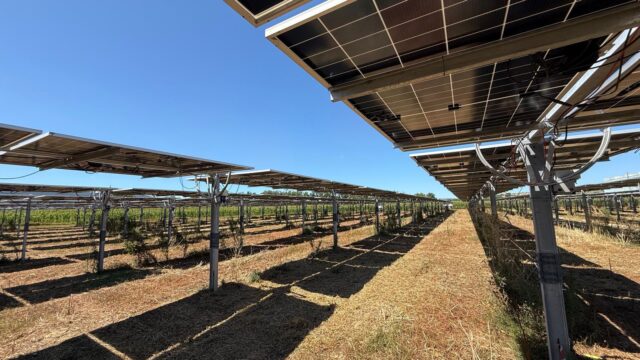 Impianto agrivoltaico con pannelli solari rialzati sopra un terreno agricolo, sotto un cielo sereno.